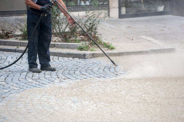 Best Animal Enclosure Cleaning  in Ozark, MO